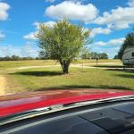 Pine Grove Park