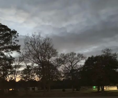 Mobile Park