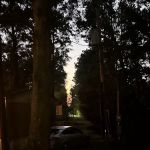 Splendora Pines