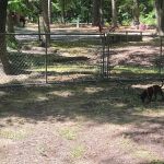 Palestine RV park