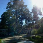 Pine Hill Mobile Home Park