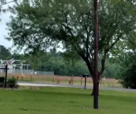 A & J RV Park