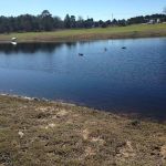 Midway Rv Park