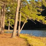 The Reserve RV Park