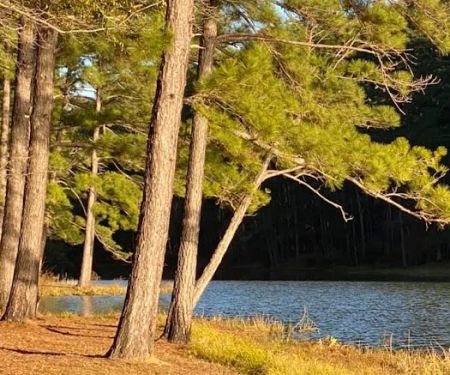 The Reserve RV Park
