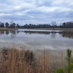 Weems Hill RV Park
