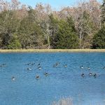 Texan RV Park