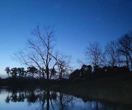 Sterlington RV Park 