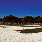 Green Acres RV Park