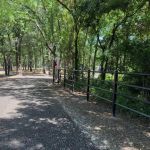 TimberWoods RV Park, LLC