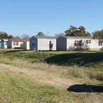 Pecan Plantation