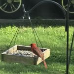 Oakhollow RV Park