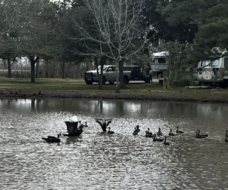 Heights RV Park