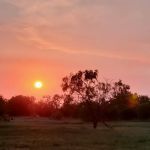 Premier RV Park
