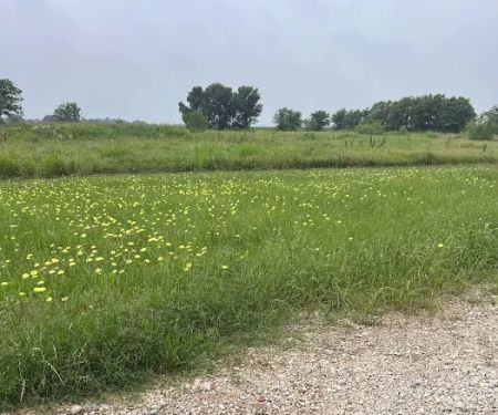 Downs Farm RV Park