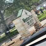 Western Pines