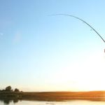 Triple Creek RV Park, Fishing & Wildlife - Caddo Mills/Greenville