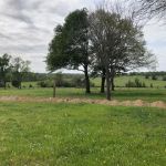 Birthplace of Texas RV Park