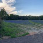 Sandy Pines RV Park