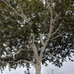 Bratonia RV Park