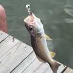 Canal Place Rv Park