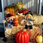 Country Living RV Park Wharton