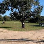 Scott’s RV Parks