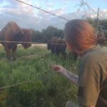Bison Hill Ranch