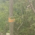 Down Home RV Park