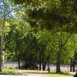 Travelers Paradise RV Park