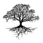 Oak Branch RV Park