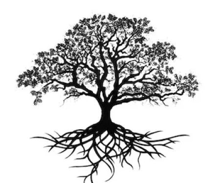 Oak Branch RV Park