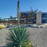 YELLOWROSE RV RESORT