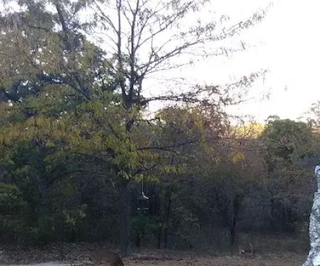 Shady Hill RV Park