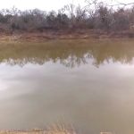 Brazos RV Resort