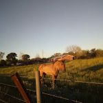 Riverwood Acres R.V. Park