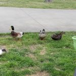 Oak Creek RV Park