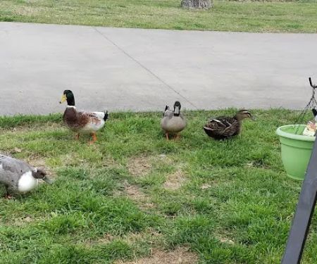 Oak Creek RV Park