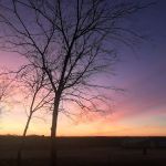 Clear Creek RV Park
