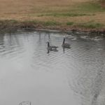 Twin Lakes RV Park