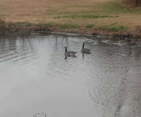 Twin Lakes RV Park