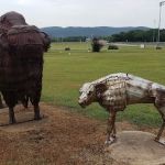 RV Park