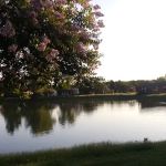 Boyd RV Park