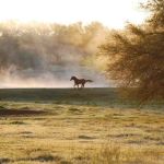 Hoof Prints Ranch