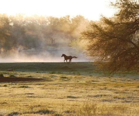 Hoof Prints Ranch