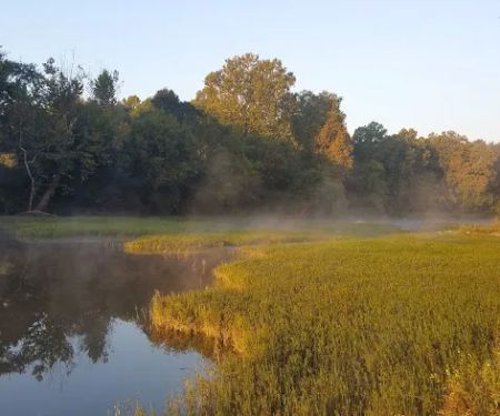 Boondockers Landing