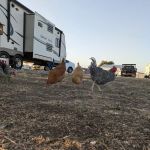 Howling Hills RV park LLC