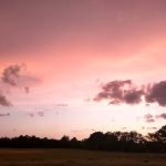 Wild Horse RV Park