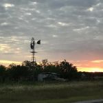 Cactus Rose RV Park