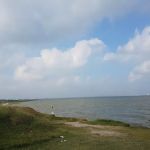 Lonestar RV Park